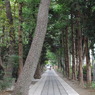 参道
