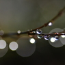 時雨後のイルミネーション（Ⅰ）