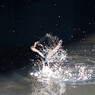 Splash 2-2