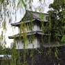 皇居 侘び寂び