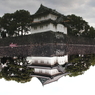 皇居 映り込み