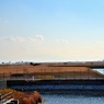 小さくF22