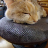 Chair_1