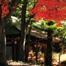 定光寺周辺とその秋　１２