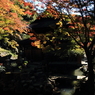 定光寺周辺とその秋　１４