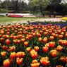 IMG_7451ks