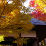 嵐山　常寂光寺