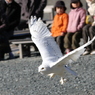 掛川花鳥園　その１