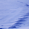 雪原風景