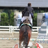 飛び立つ