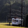 いちご電車と稲穂