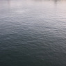 SDIM0286