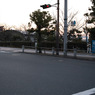 SDIM0316