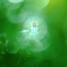 Green Train I