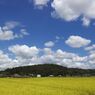 遠くに鶴舞駅を臨む