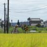 山田駅近辺にて