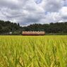 川間駅にて　１