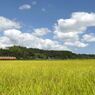 川間駅にて　２