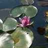 P1080806