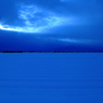 青光雪
