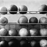 balls 1981