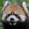 多摩動物公園