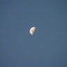 Down under half moon