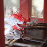紅白…