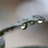 雨ですね・・・