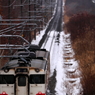 Snowfield Train XI