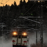Morning glow train V