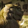 狛犬 小平神明宮