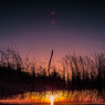 Night Gate