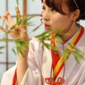 福娘 2014-18