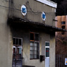 IMGP2677