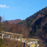 IMGP2735