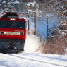 Snowfield Train XVI