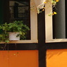 quiet color#103