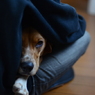 眠いんだ