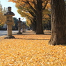 @yasukuni shrine