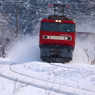 Snowfield Train XXI