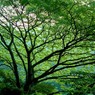 DSCF0008