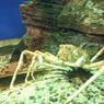 IMG_20140120_142037724