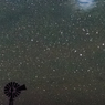 stars