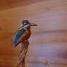 BIRDCARVING (14)