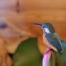 BIRDCARVING (15)