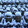 寒そう...