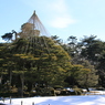 雪吊
