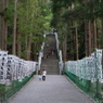 DSCF2984