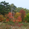 DSCF3199